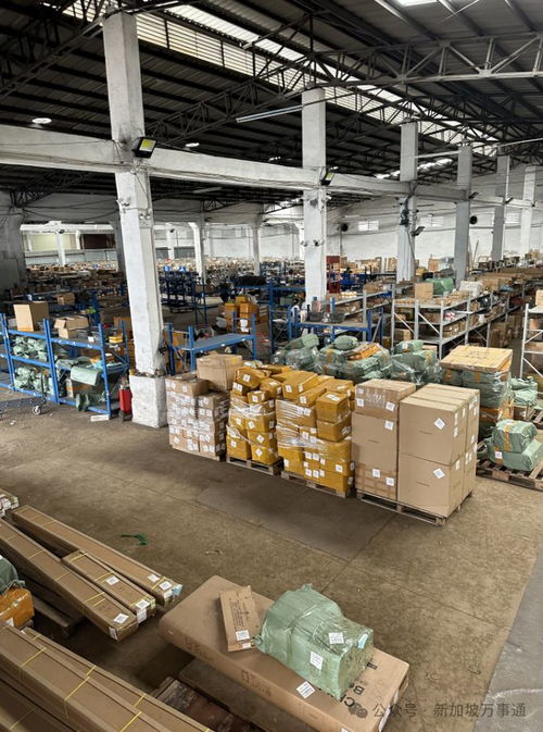 一站式物流解決方案 中國至新加坡低價海運、空運及貨物倉儲服務(wù)